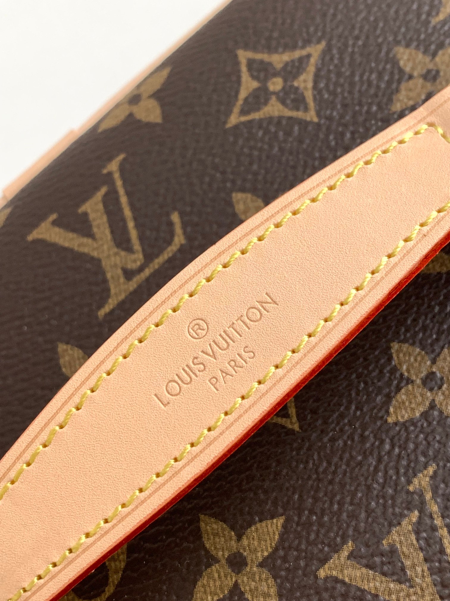 Louis Vuitton Bag M42265