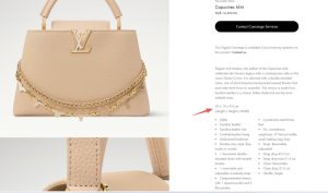 Louis Vuitton Bag M29955