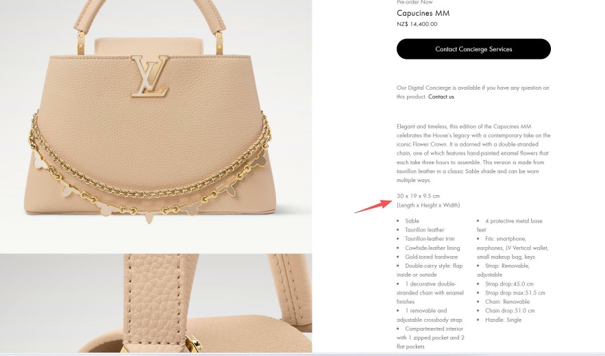 Louis Vuitton Bag M29955