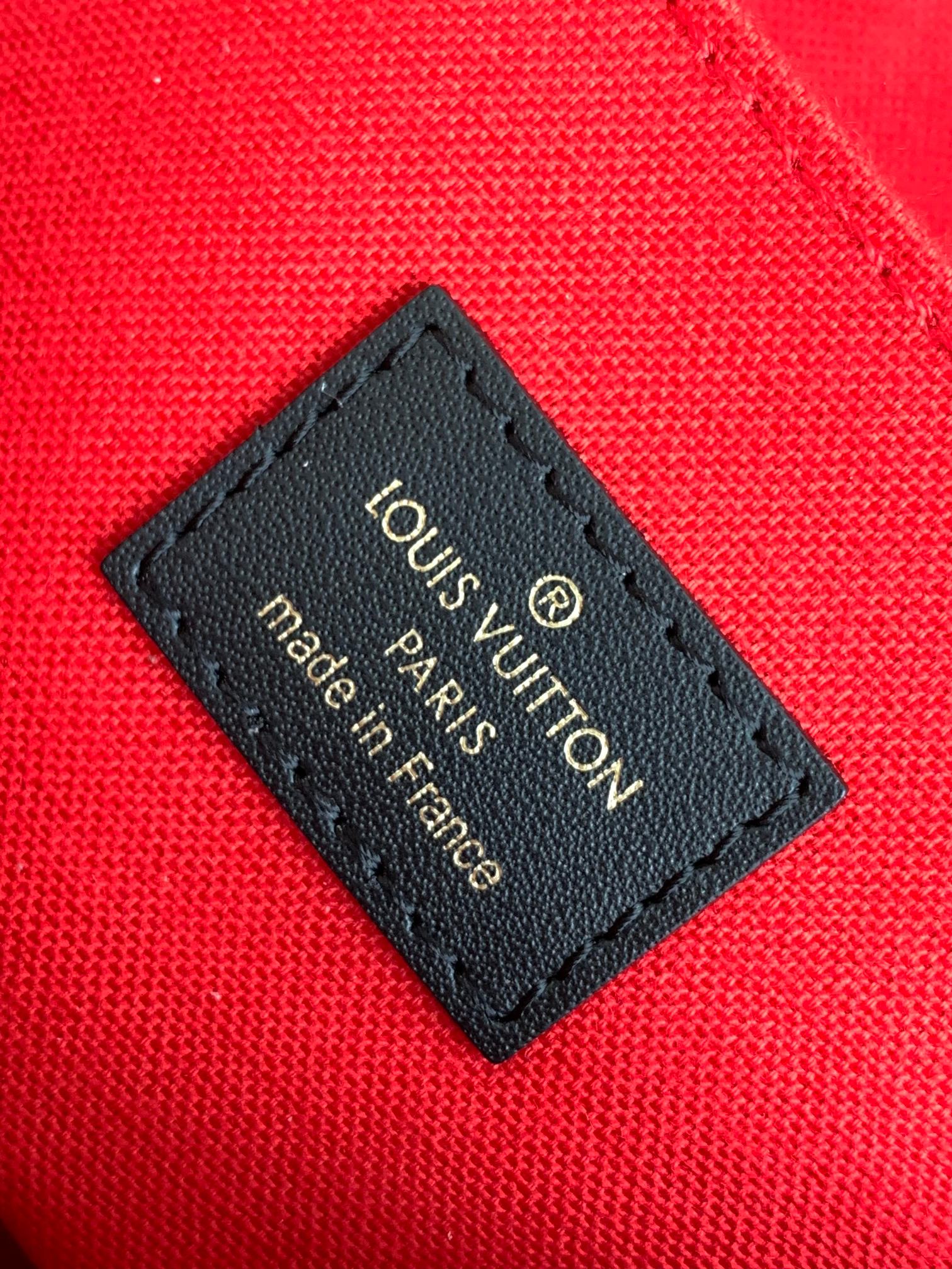Louis Vuitton Bag M46653