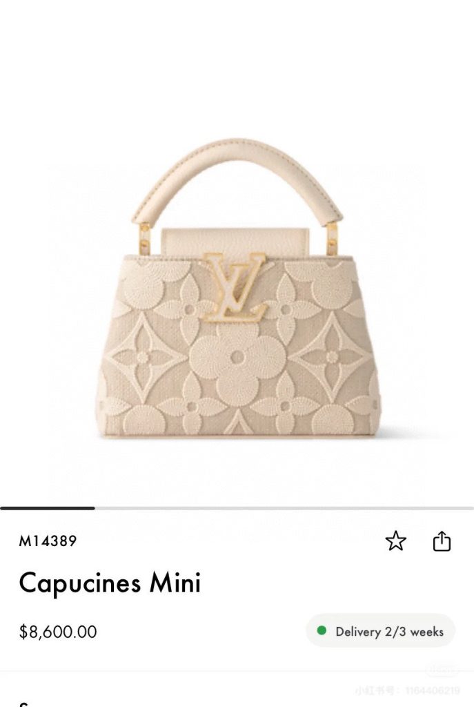 Louis Vuitton Handbag