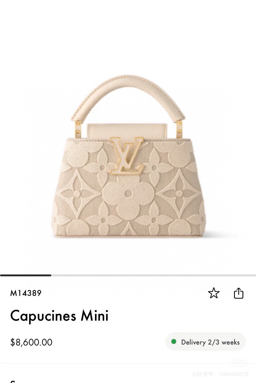 Louis Vuitton Handbag