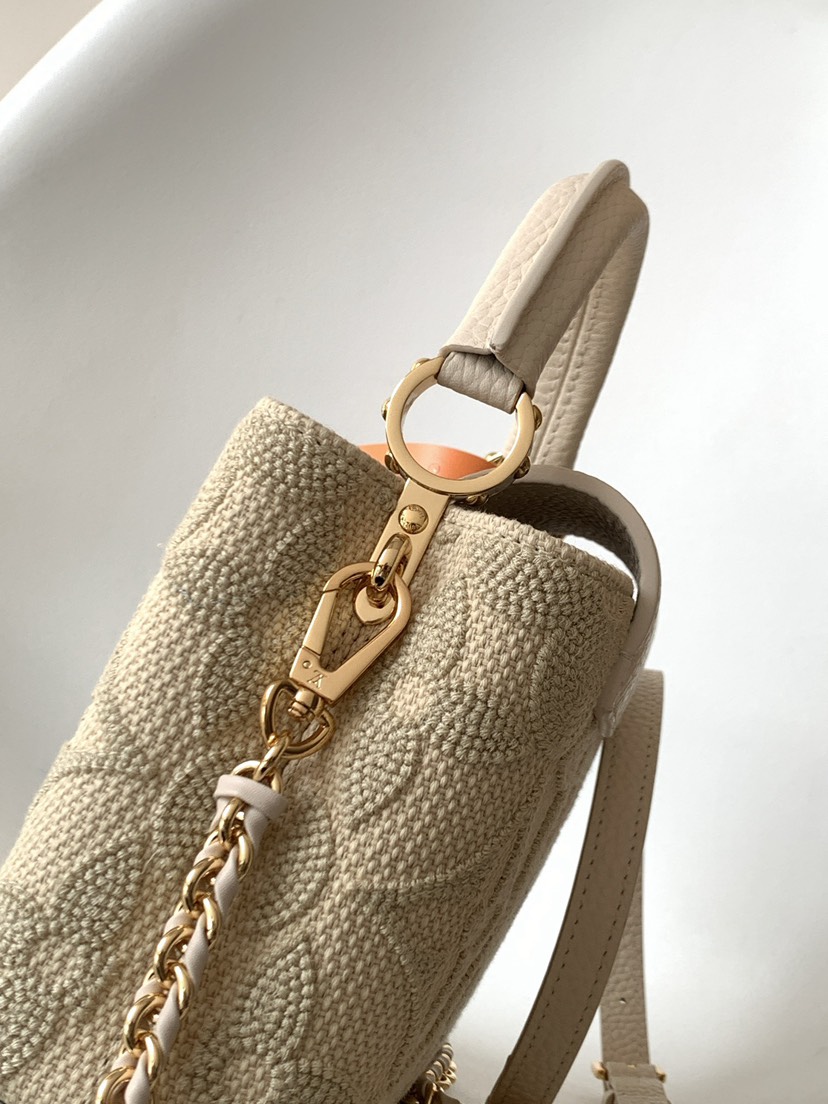 Louis Vuitton Handbag