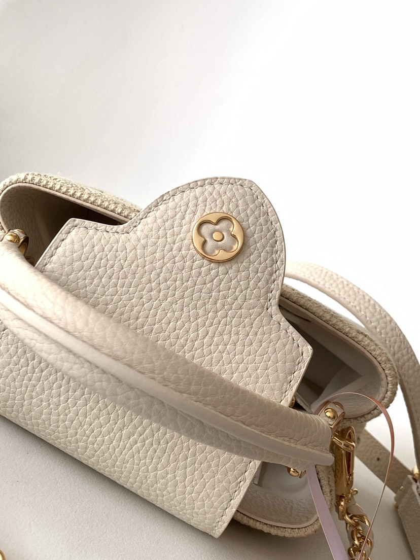 Louis Vuitton Handbag