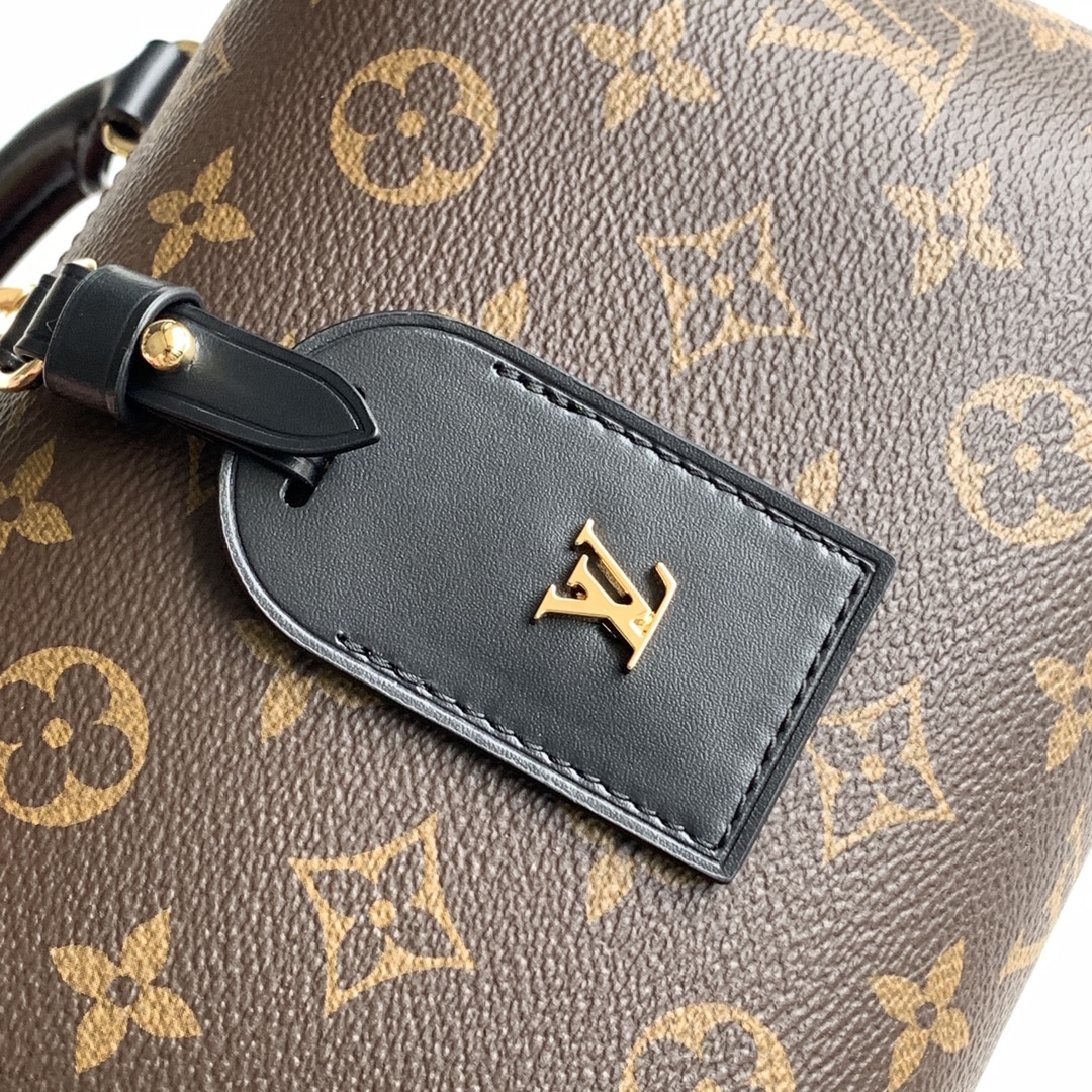 Louis Vuitton Bag M45571