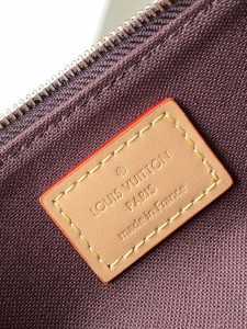 Louis Vuitton Bag M83008