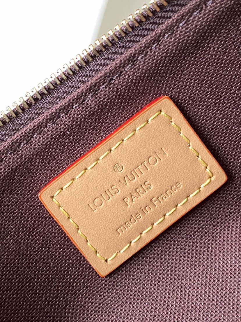 Louis Vuitton Bag M83008