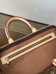 Louis Vuitton Handbag M41418