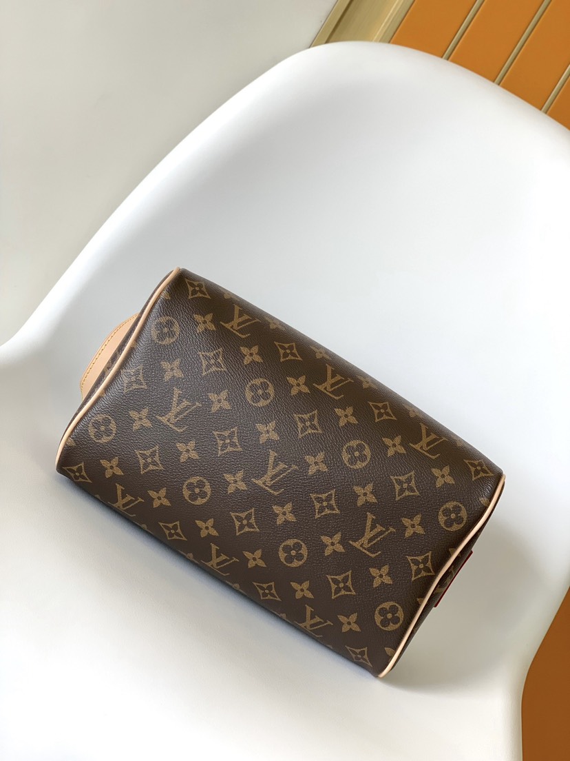 Louis Vuitton Bag M46696