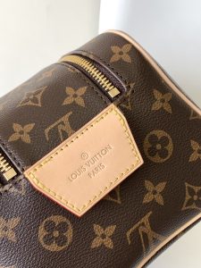 Louis Vuitton Bag M46696
