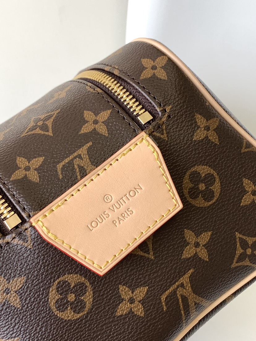 Louis Vuitton Bag M46696