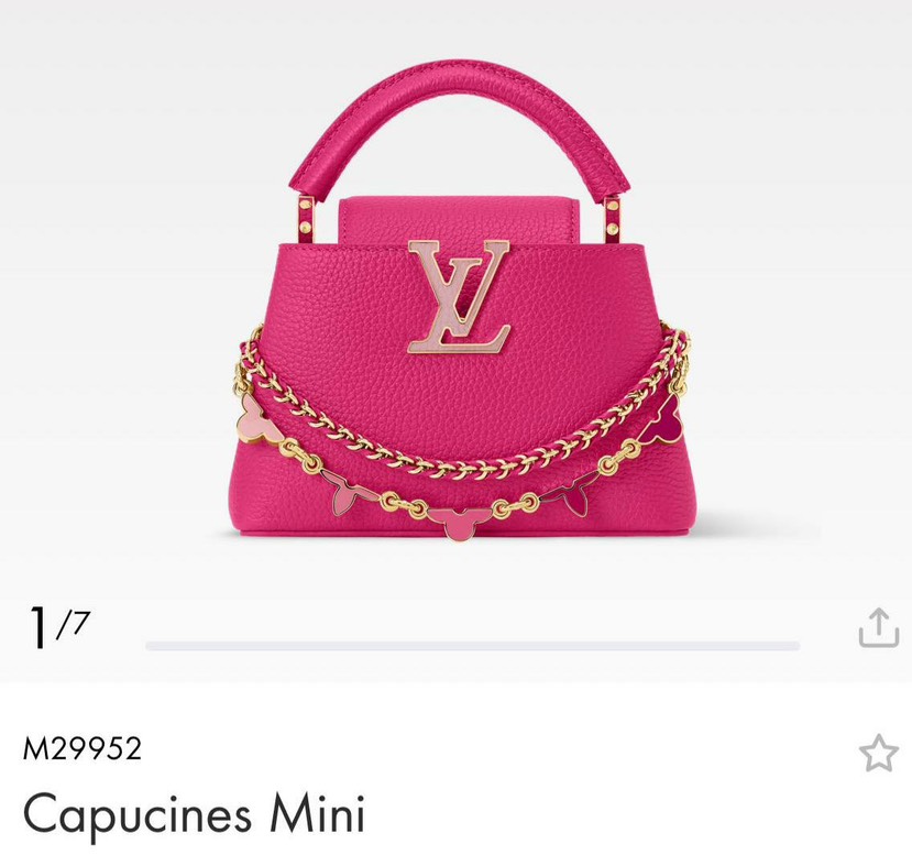 Louis Vuitton Bag M29952