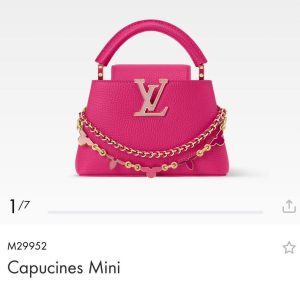 Louis Vuitton Bag M29952