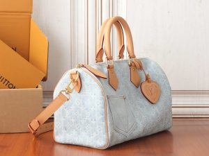 Louis Vuitton Handbag in Denim