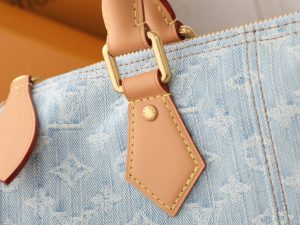 Louis Vuitton Handbag in Denim