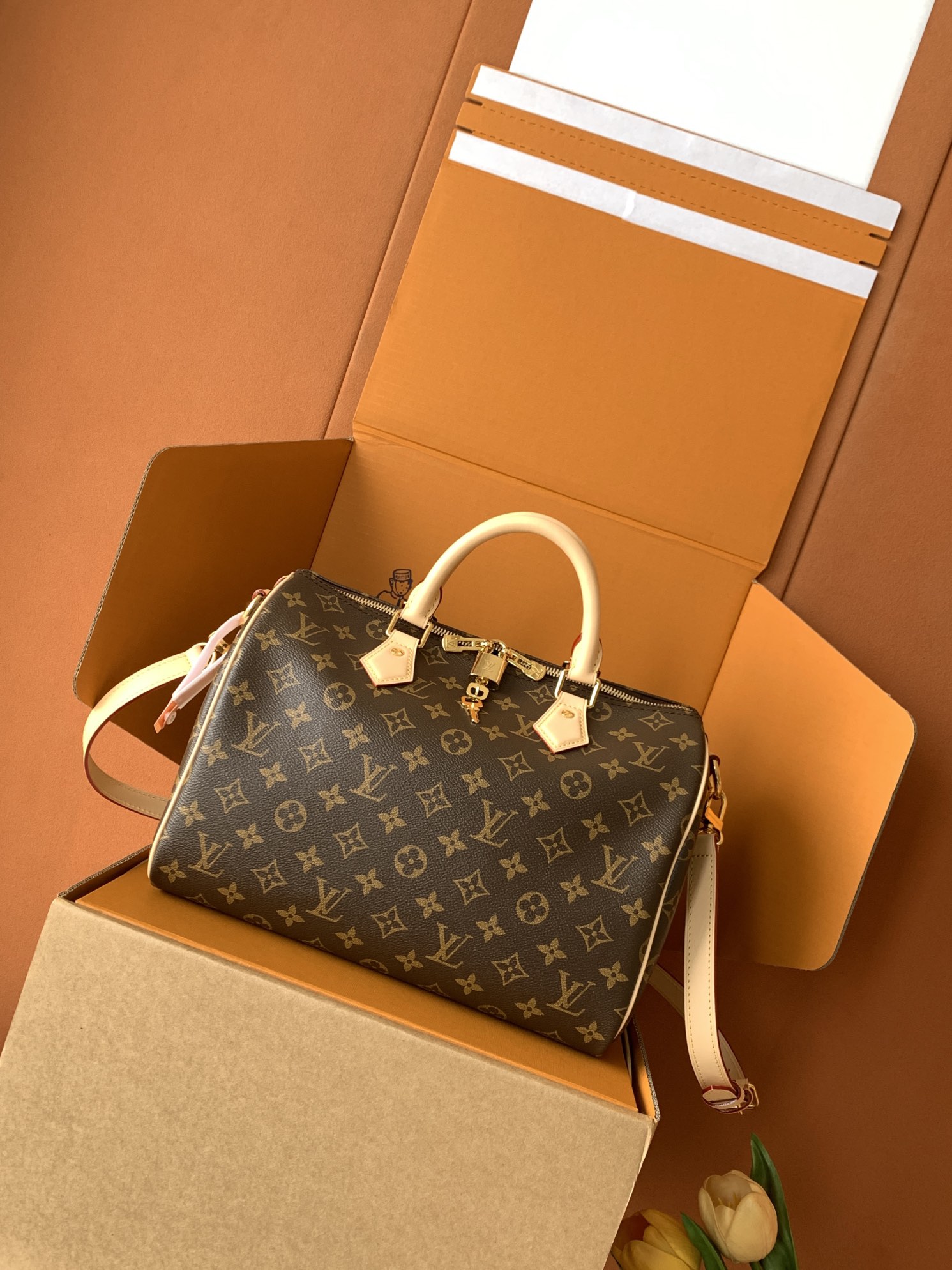 Louis Vuitton Handbag M46980