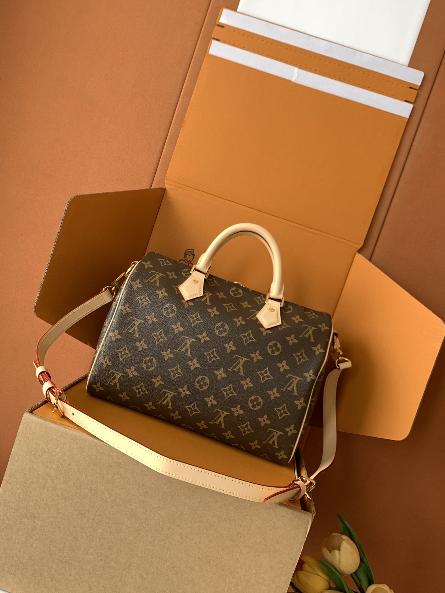 Louis Vuitton Handbag M46980