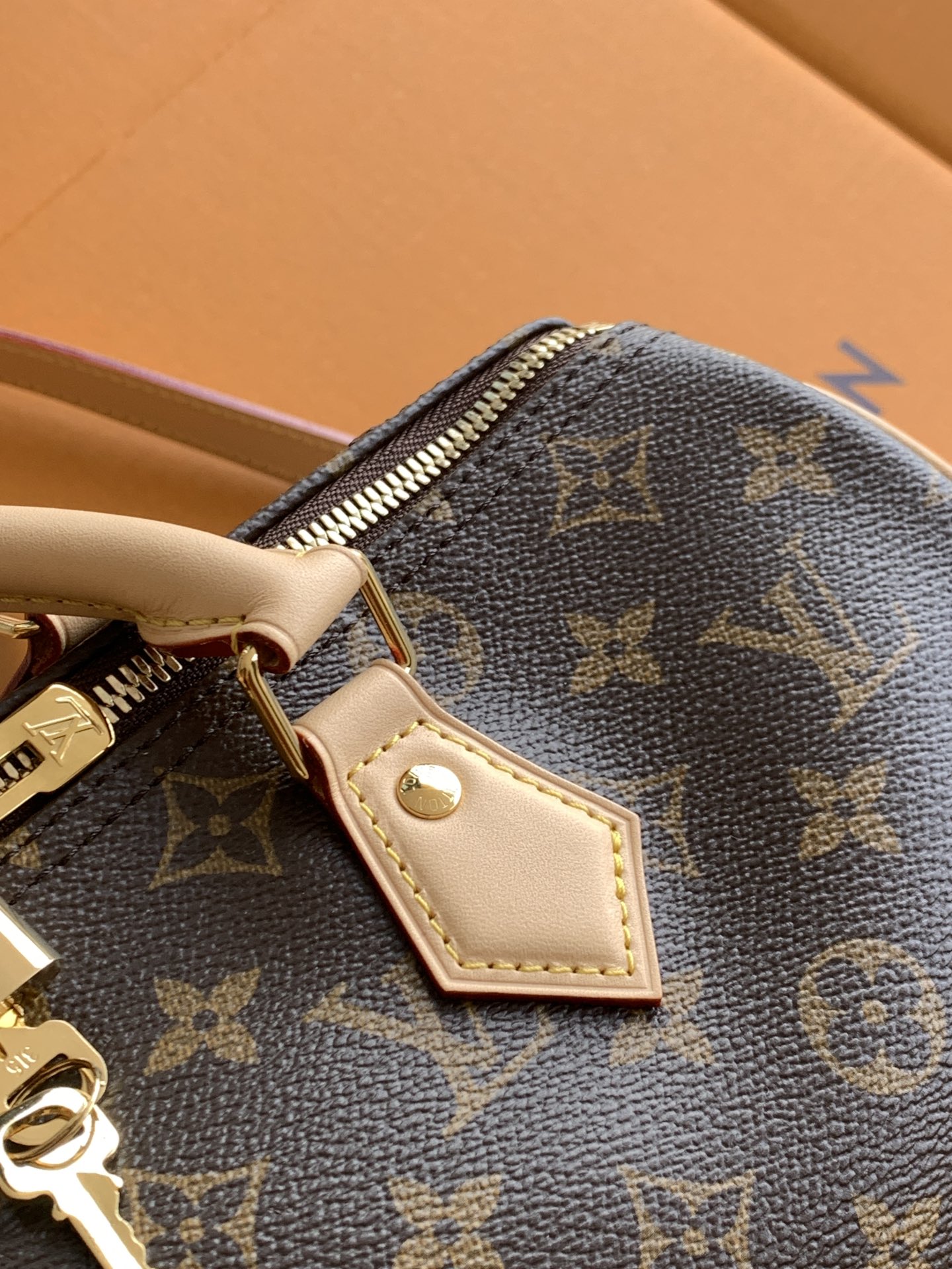 Louis Vuitton Handbag M46980