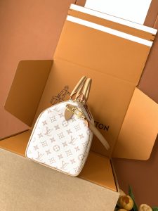 Louis Vuitton Handbag M15108