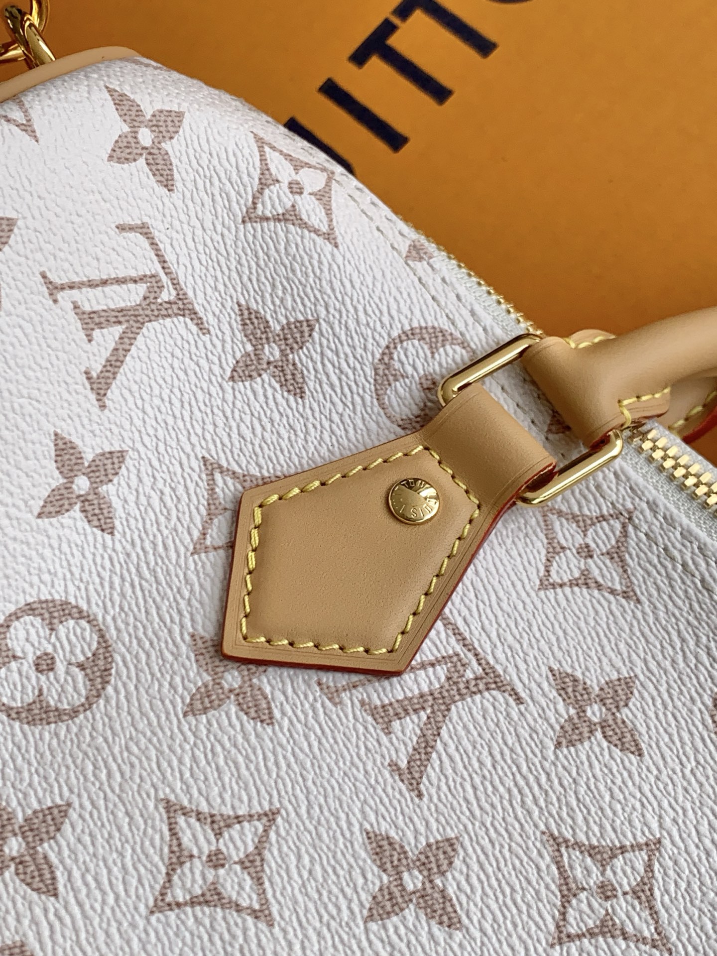 Louis Vuitton Handbag M15108