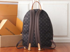 Louis Vuitton Backpack