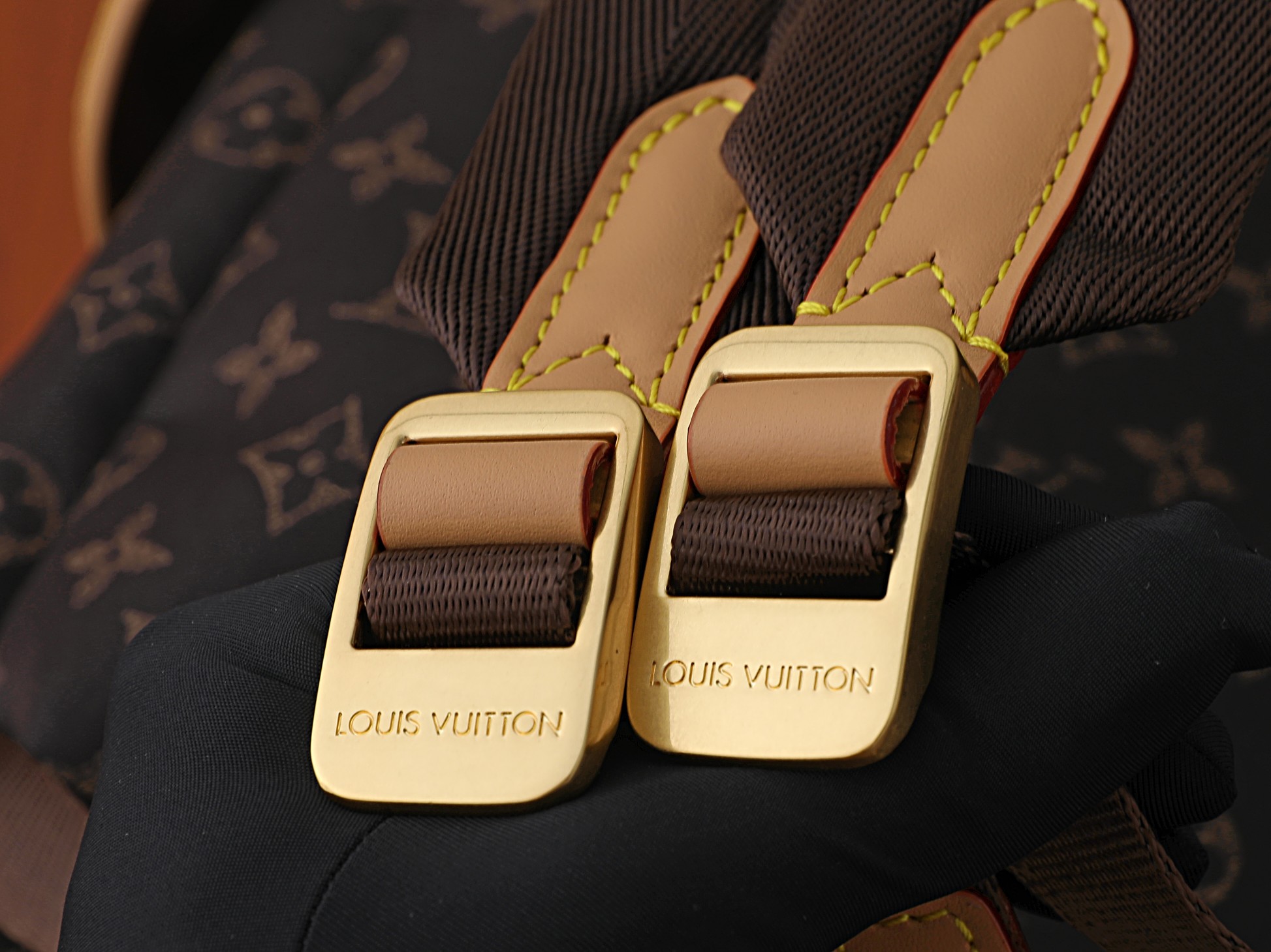 Louis Vuitton Backpack