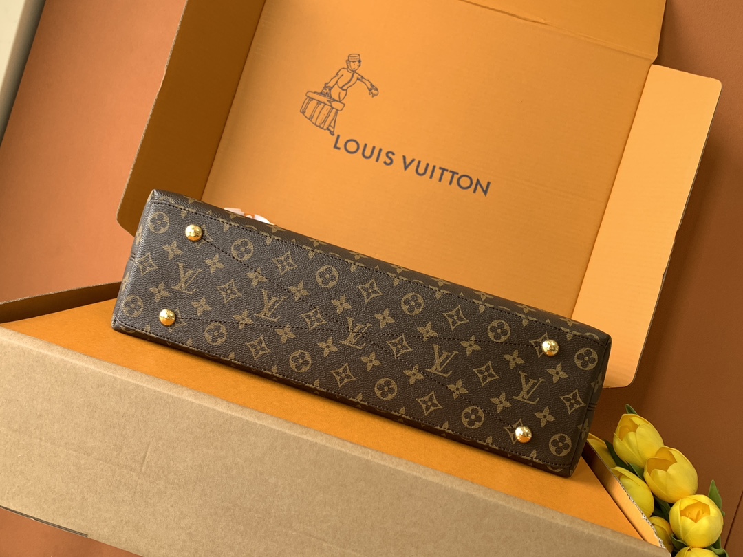 Louis Vuitton Handbag M25877