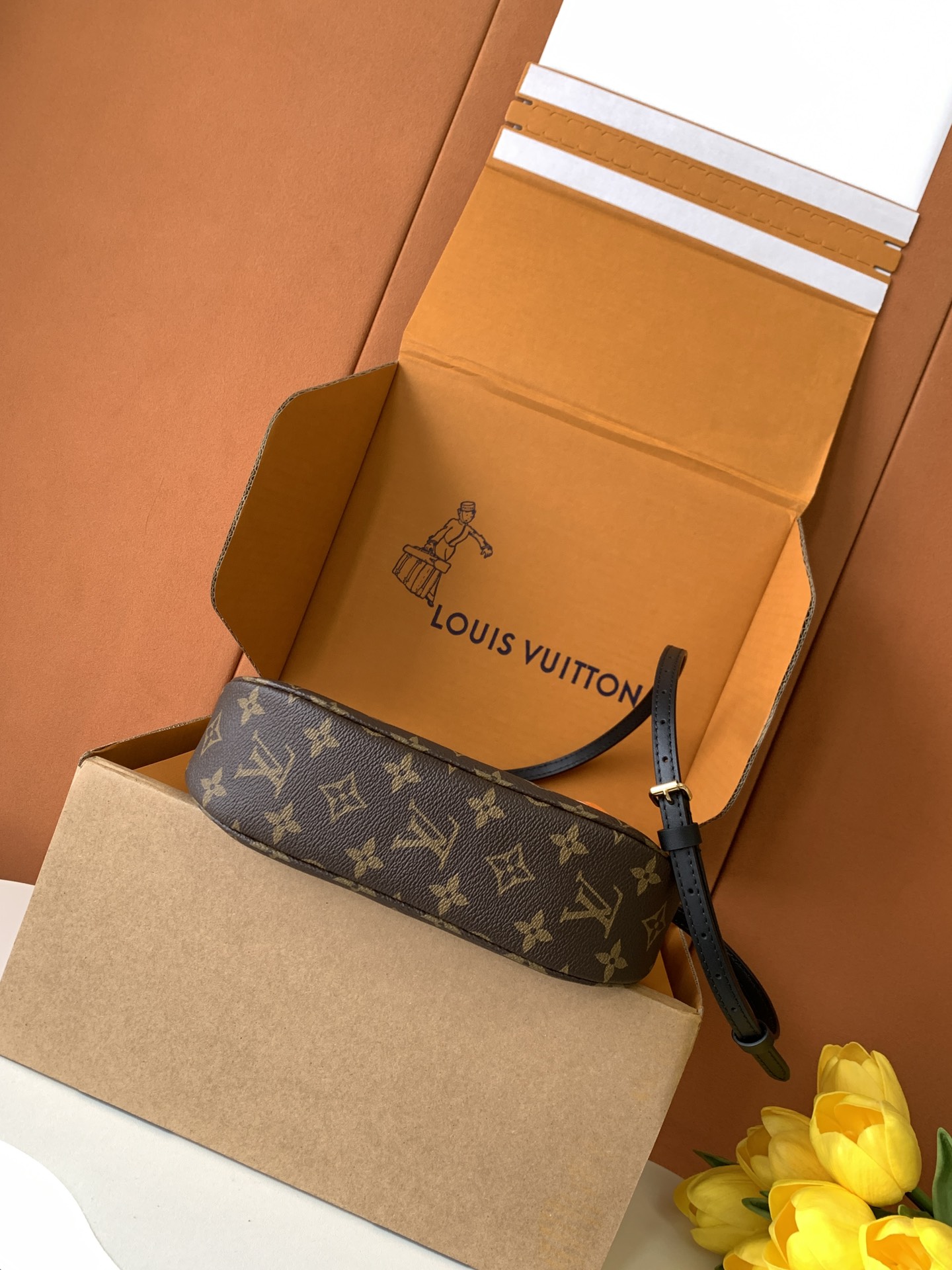 Louis Vuitton Handbag M25223