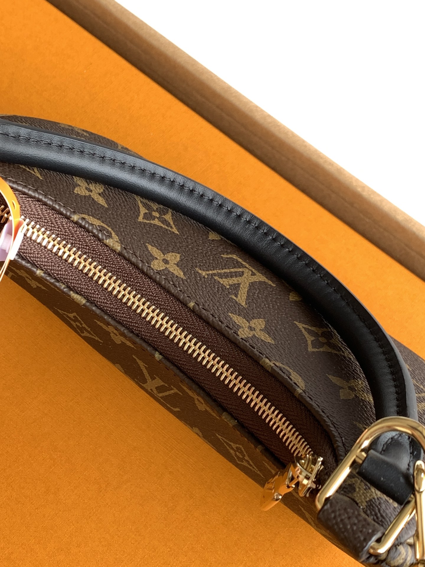 Louis Vuitton Handbag M25223