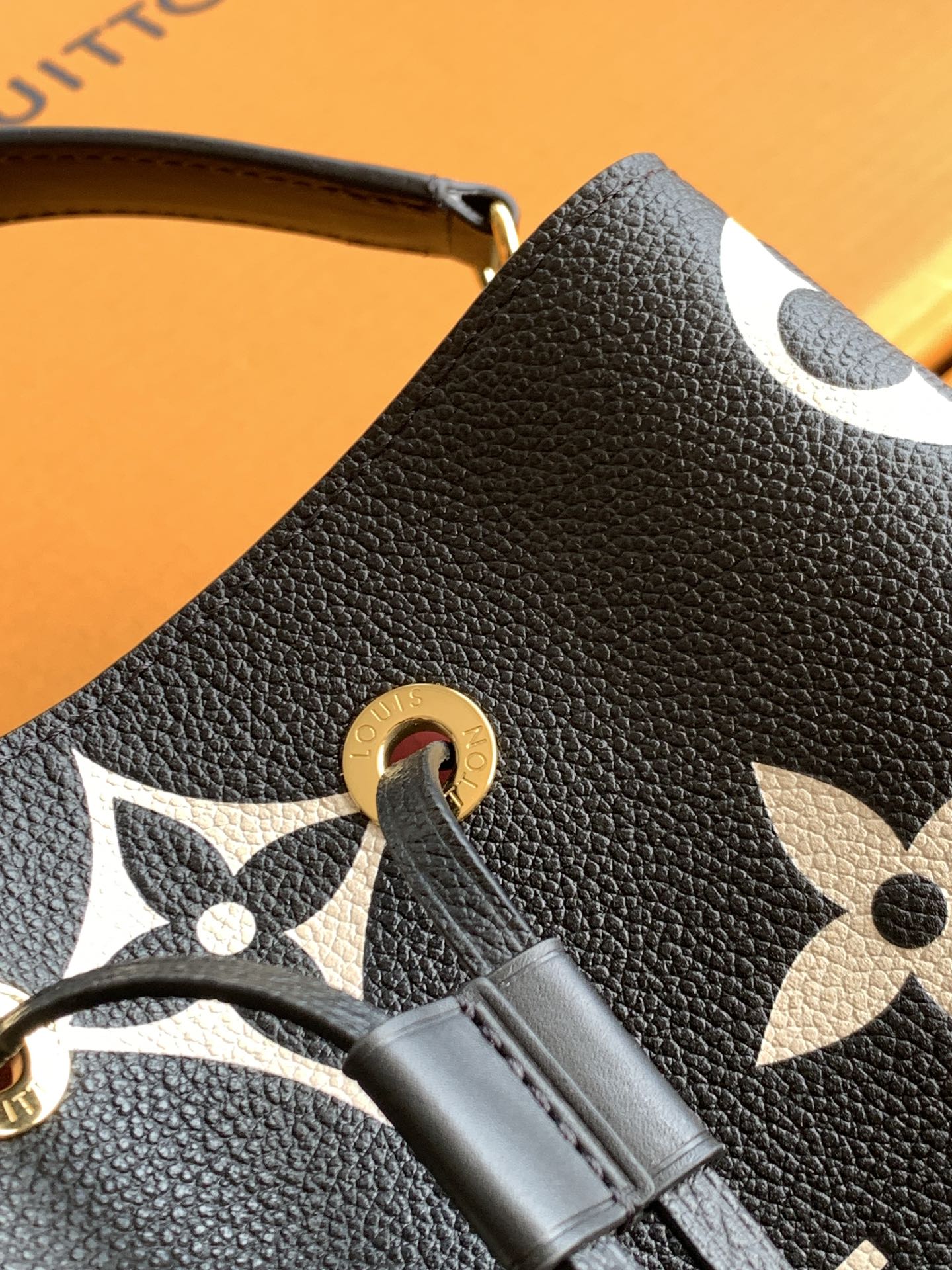 Louis Vuitton Handbag M45497 in Black
