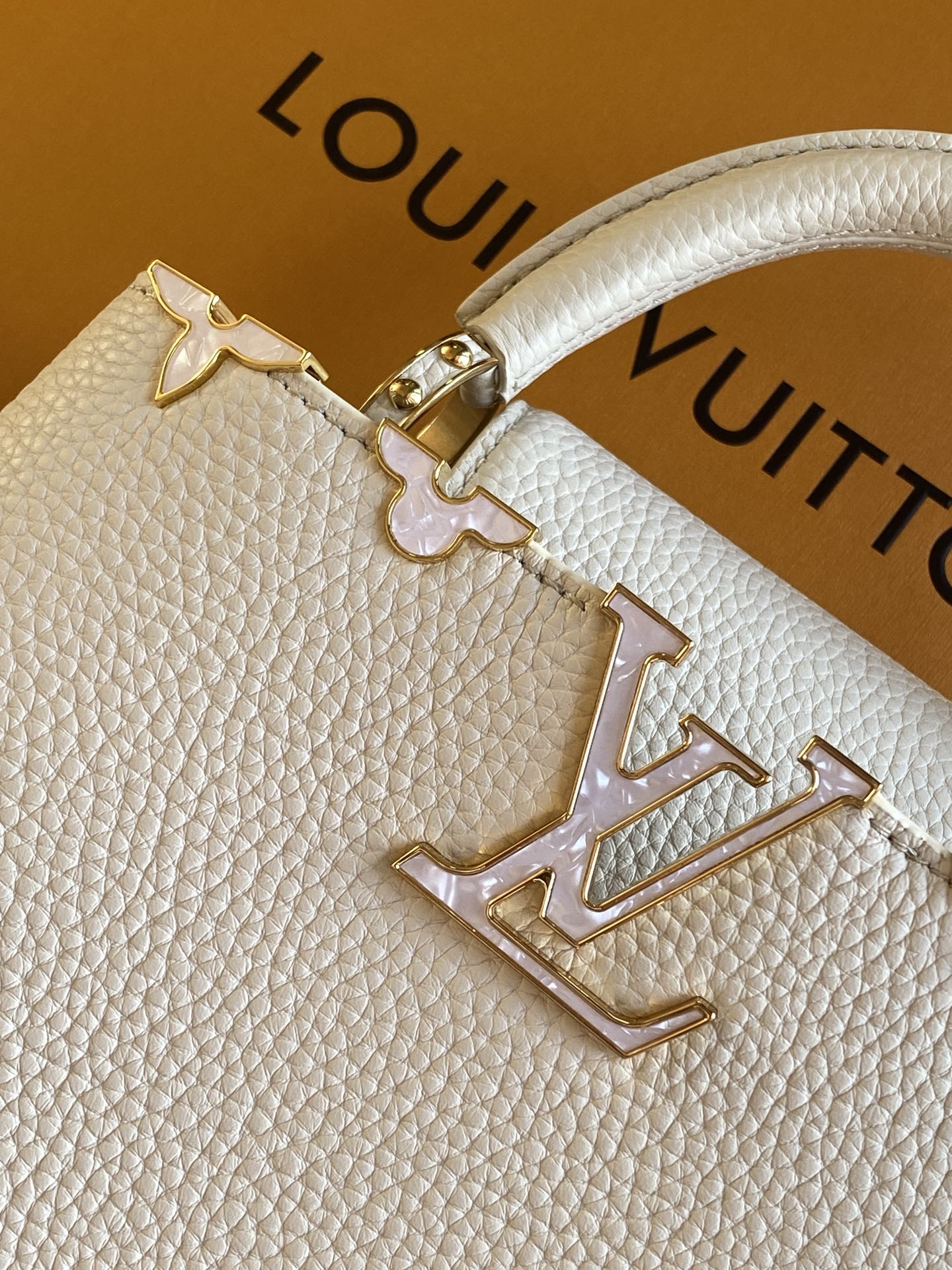 Louis Vuitton Handbag M25404