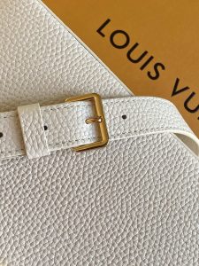 Louis Vuitton Handbag M25404