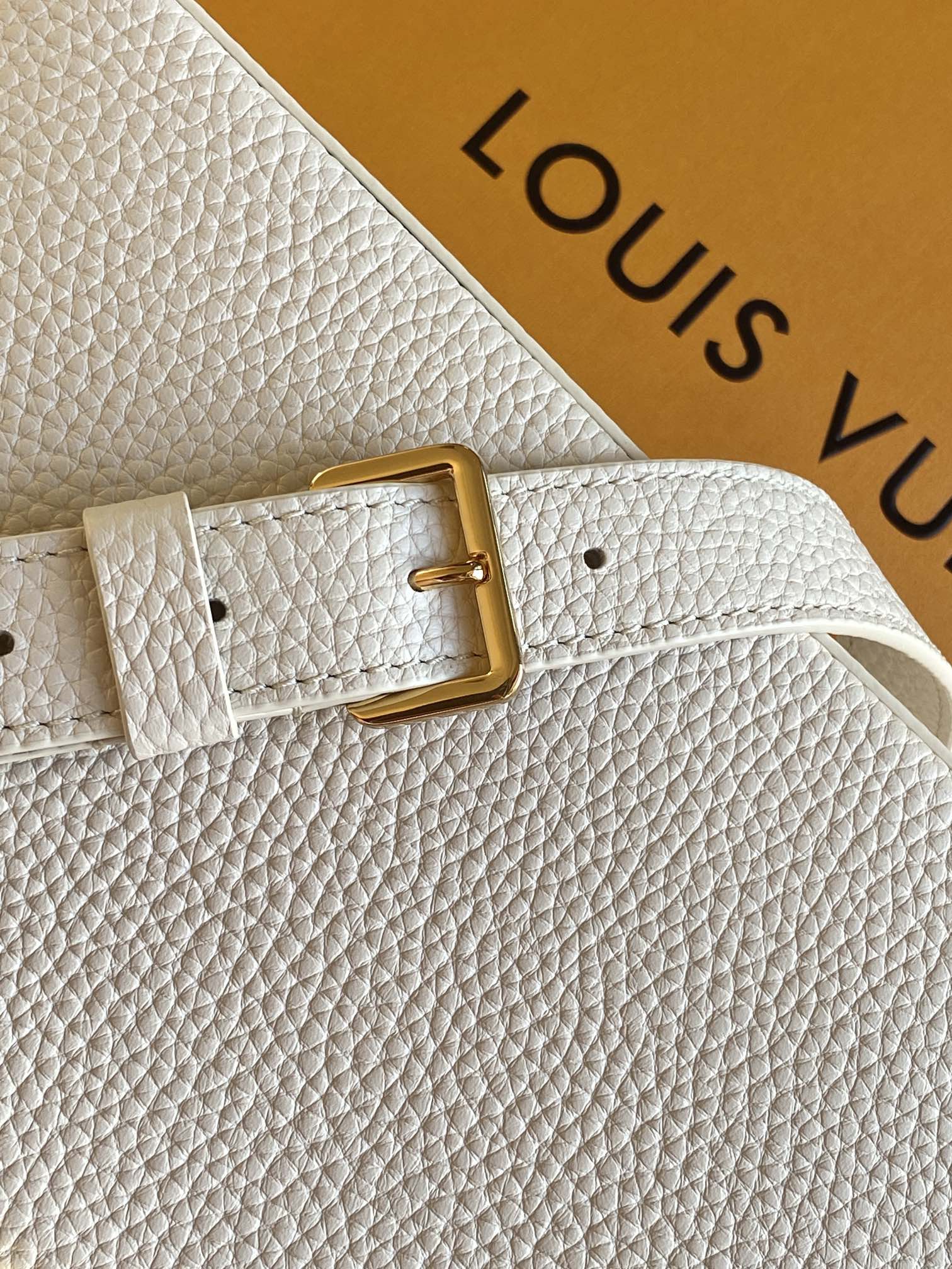 Louis Vuitton Handbag M25404