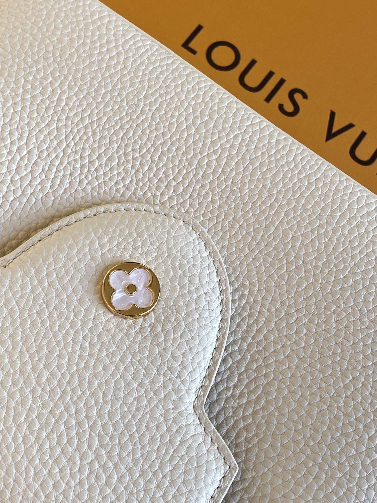 Louis Vuitton Handbag M25404