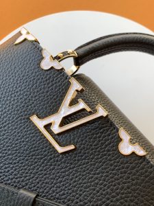 Louis Vuitton Handbag M25404 in Black
