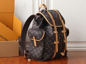Louis Vuitton Backpack