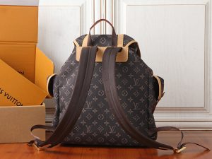 Louis Vuitton Backpack