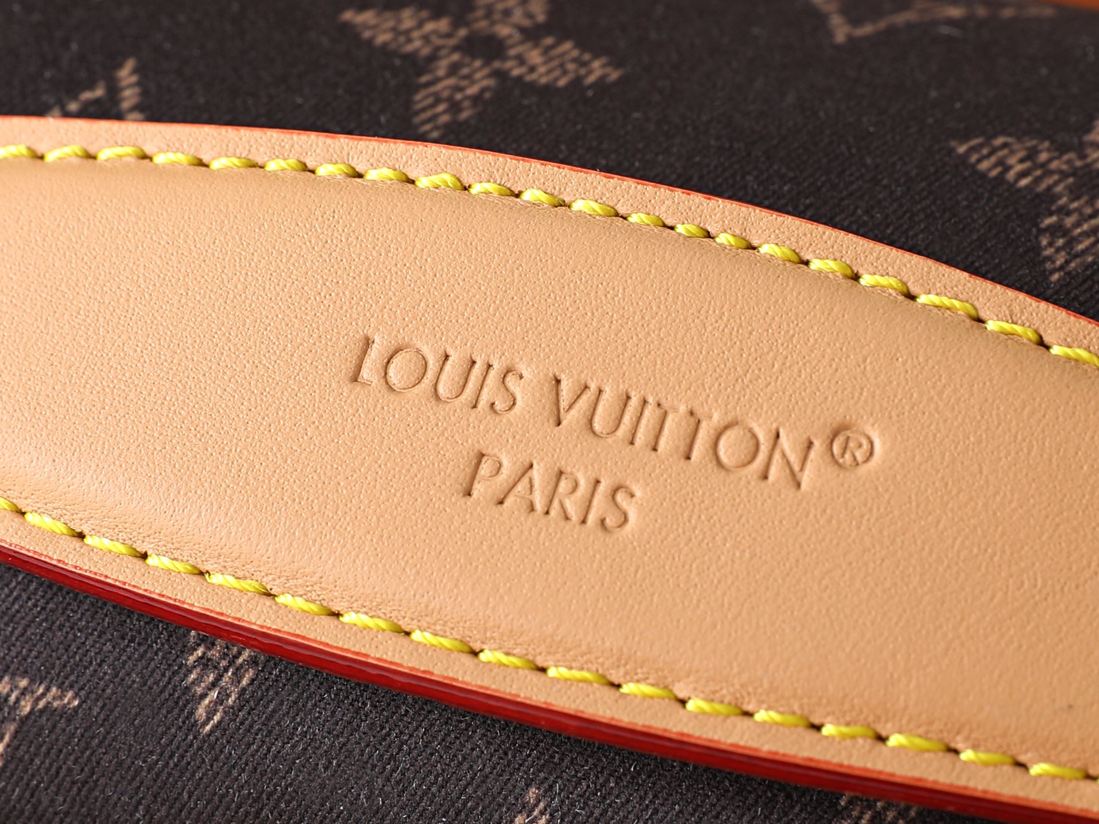 Louis Vuitton Rush Waist Bag