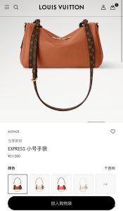 Louis Vuitton Handbag M29428