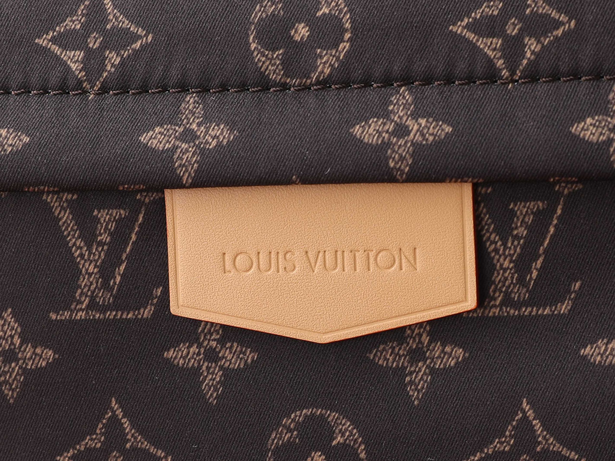 Louis Vuitton Backpack