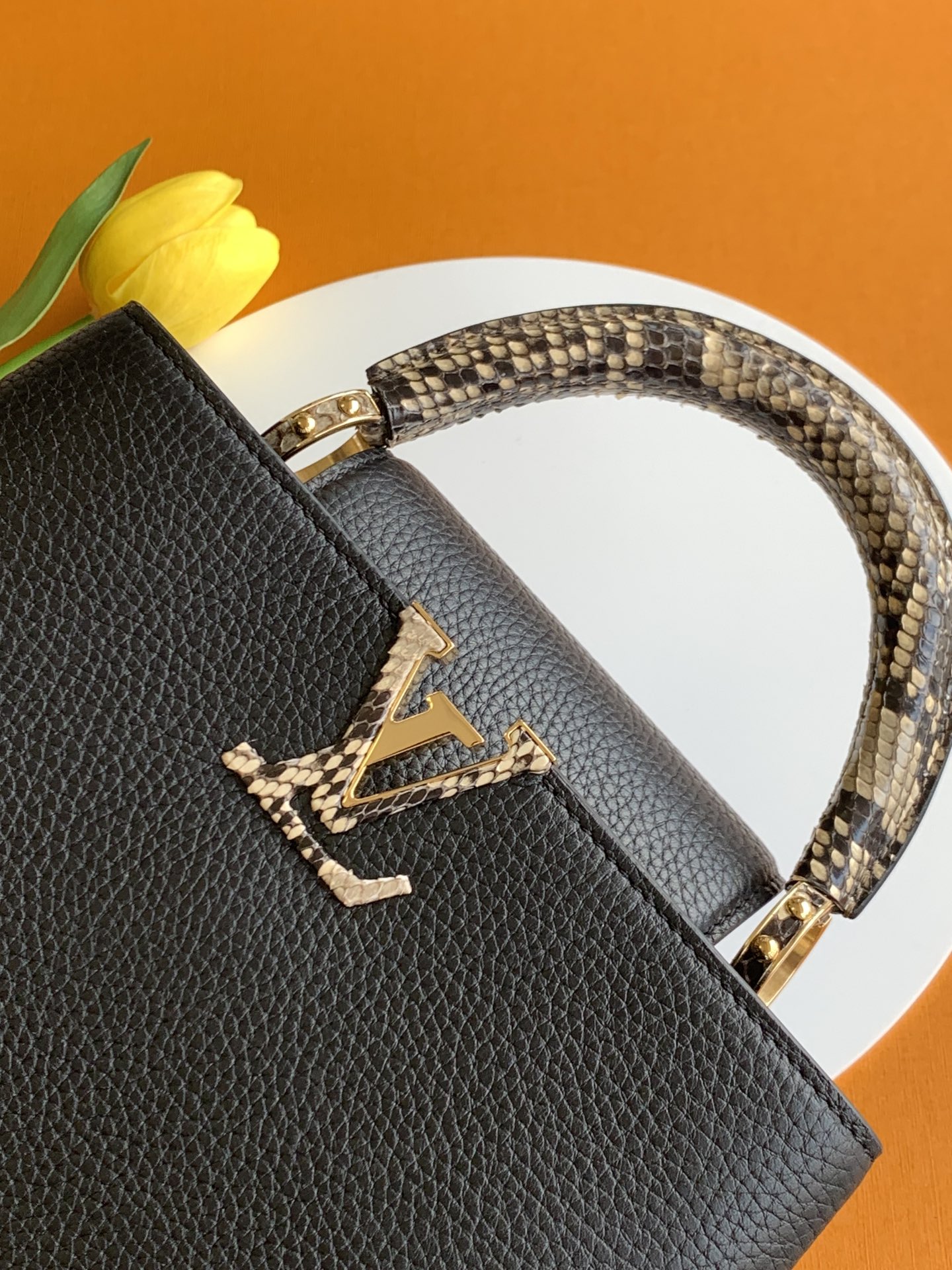 Louis Vuitton Shoulder Bag