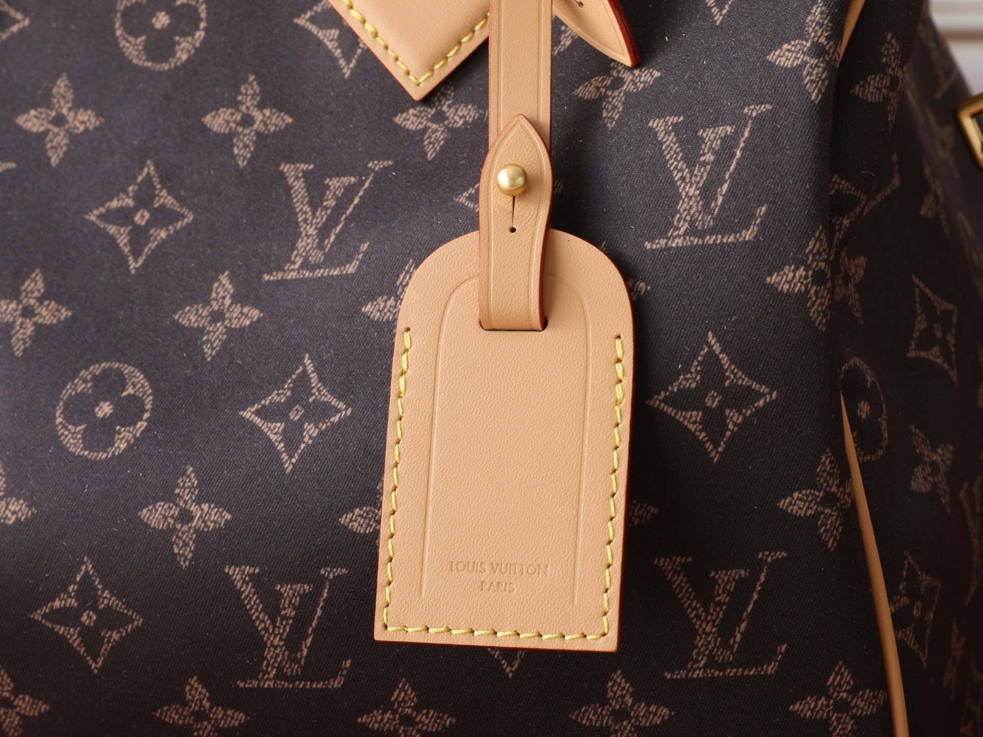 Louis Vuitton Handbag