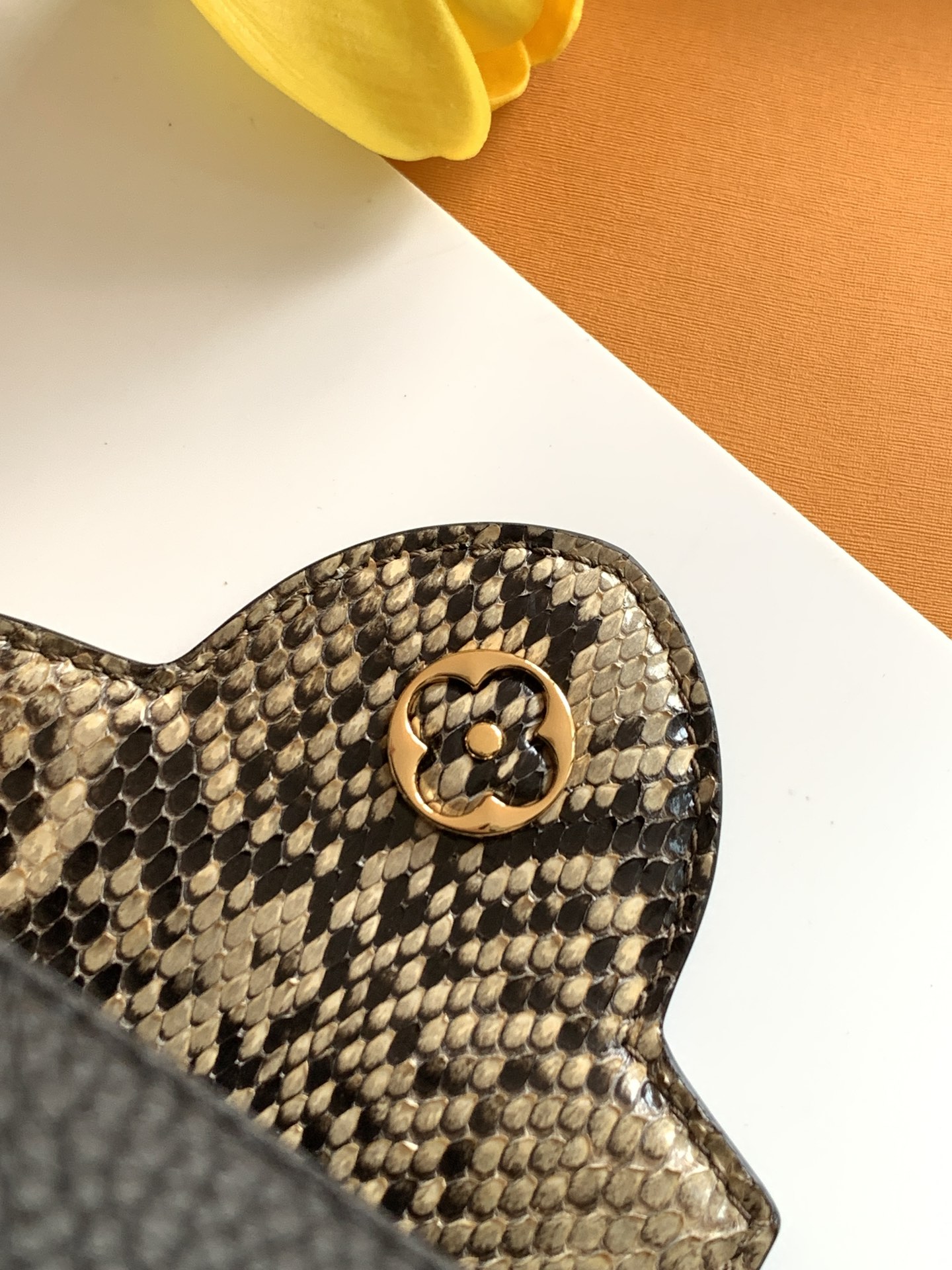 Louis Vuitton Shoulder Bag
