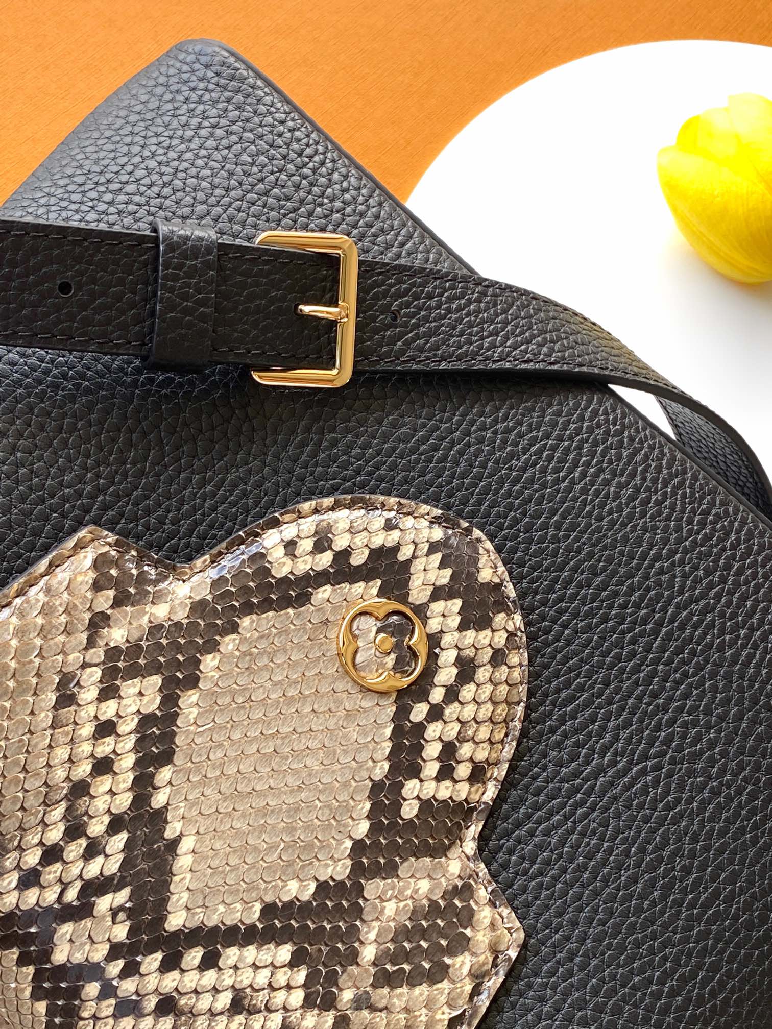 Louis Vuitton Shoulder Bag