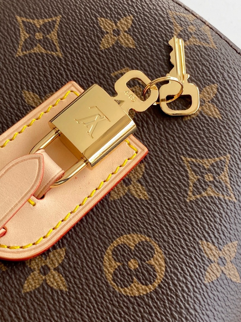 Louis Vuitton Handbag