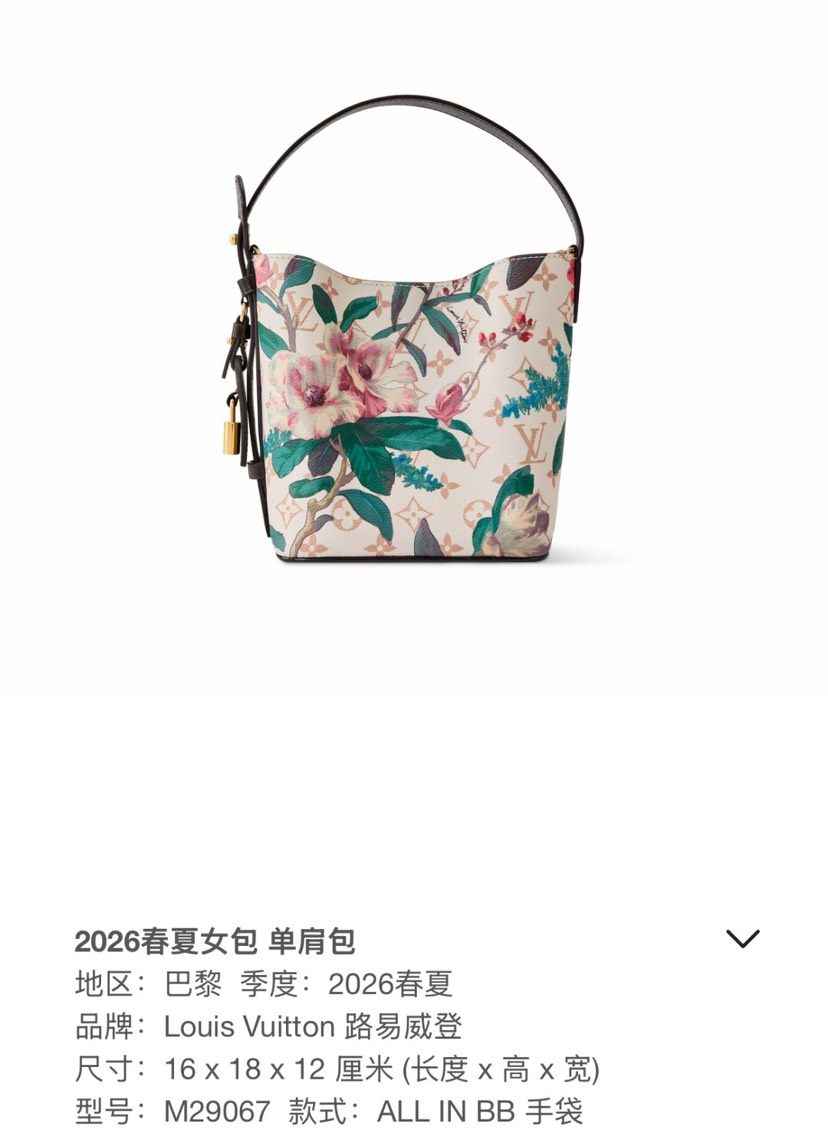Louis Vuitton Bag M29067