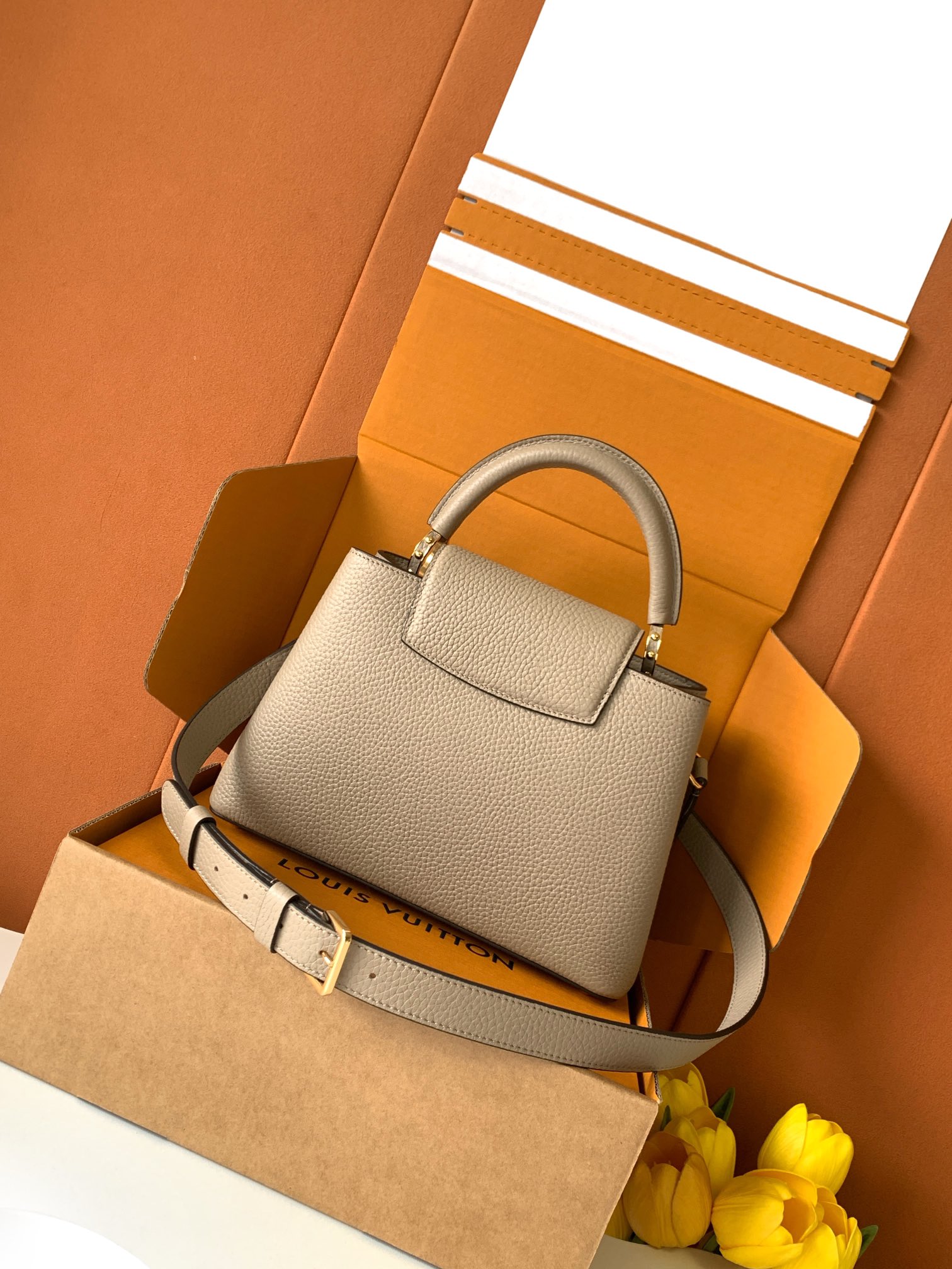 Louis Vuitton Handbag M24728