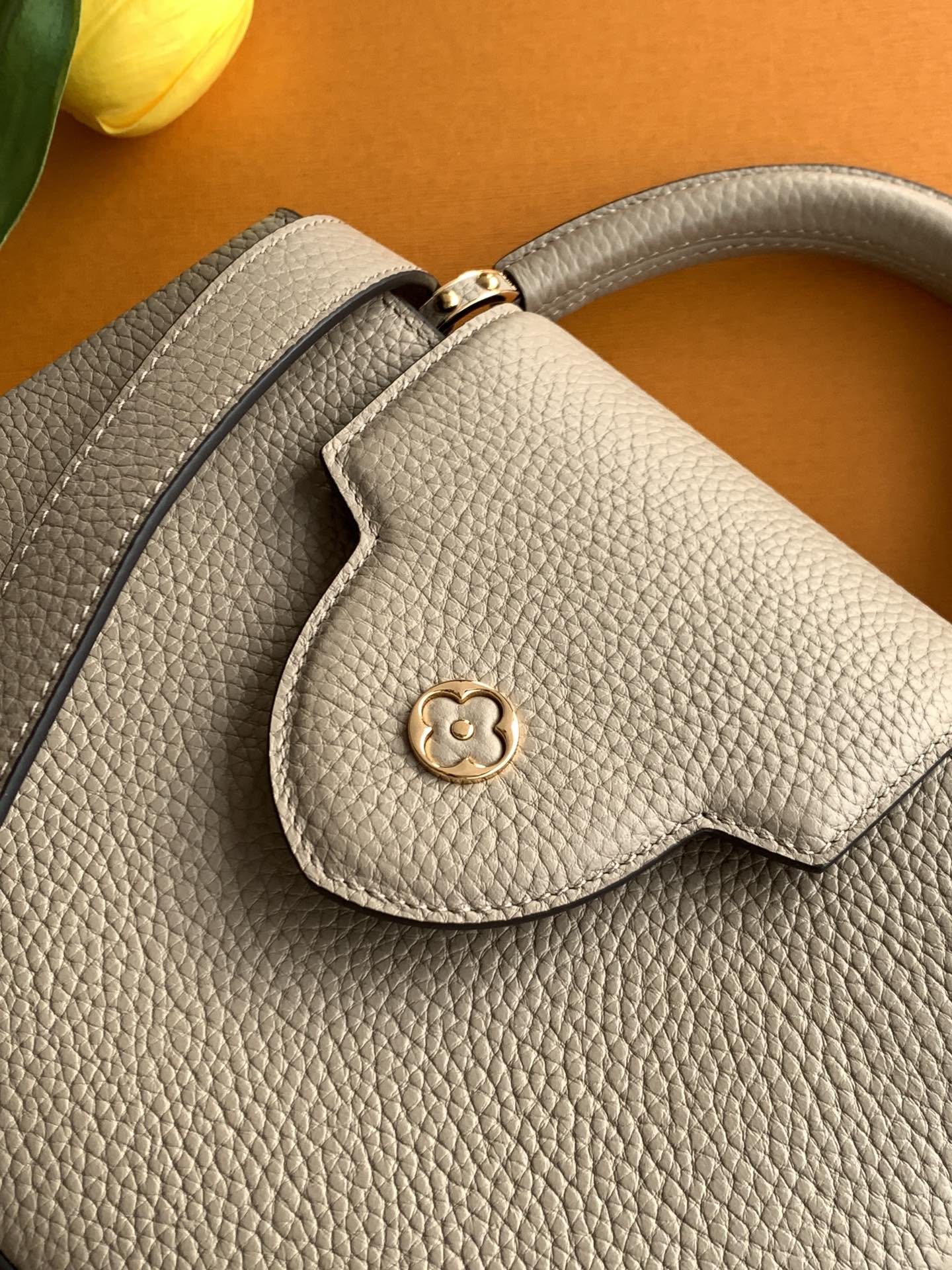 Louis Vuitton Handbag M24728