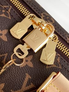 Louis Vuitton Handbag M13752