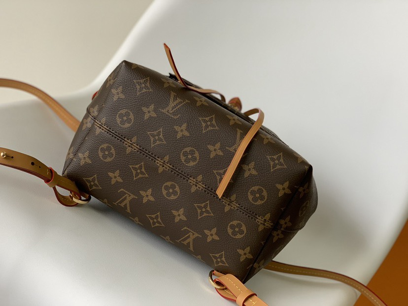 Louis Vuitton Backpack M45515 in Black